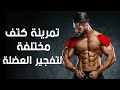 اقوى تمرينة كتف كاملة لتضخيم عضلة الكتف في وقت سريعshoulder workout