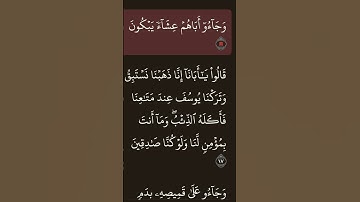 كيد اخوة يوسف وجاؤ اباهم عشاء يبكون #سورة_يوسف #قرآن #اسلام_صبحي #آيات