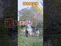 【女性植木職人】グランドワーカー。