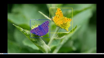 Video demo of a model trained with PixelLib.