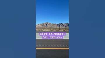 Driving Through Memories 🚗💔 #RIPCatJanice