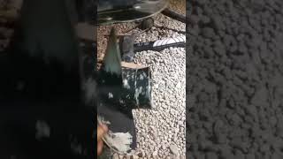 lower unit shift problems