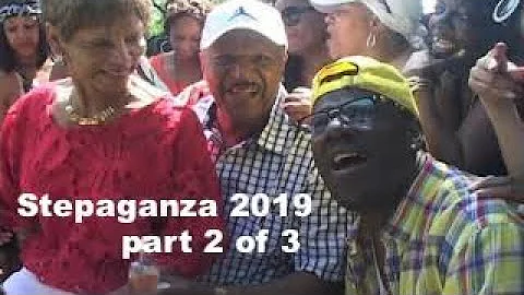 Chicago Steppin Parties with Terry Stepaganza 2019...
