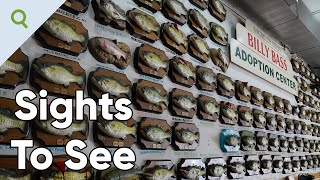 Where Singing Fish Go To Die - The Billy B Adoption Center