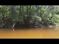 More of the perdido river canoe trip