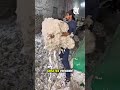 Where Your Donated Clothes Really Go The Hidden Recycling Industry
