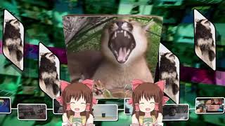 Information Main Theme - Staytpmv Update