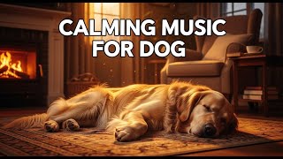 12 Hours Calming Music for Dogs : Helps with Separation Anxiety and Promotes Relaxation & Sleep 😴🐕🌟