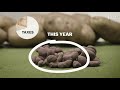 The 70% top tax rate, explained with potatoes