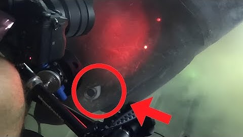 16 Scariest Deep-Sea Encounters Ever Caught on Camera...