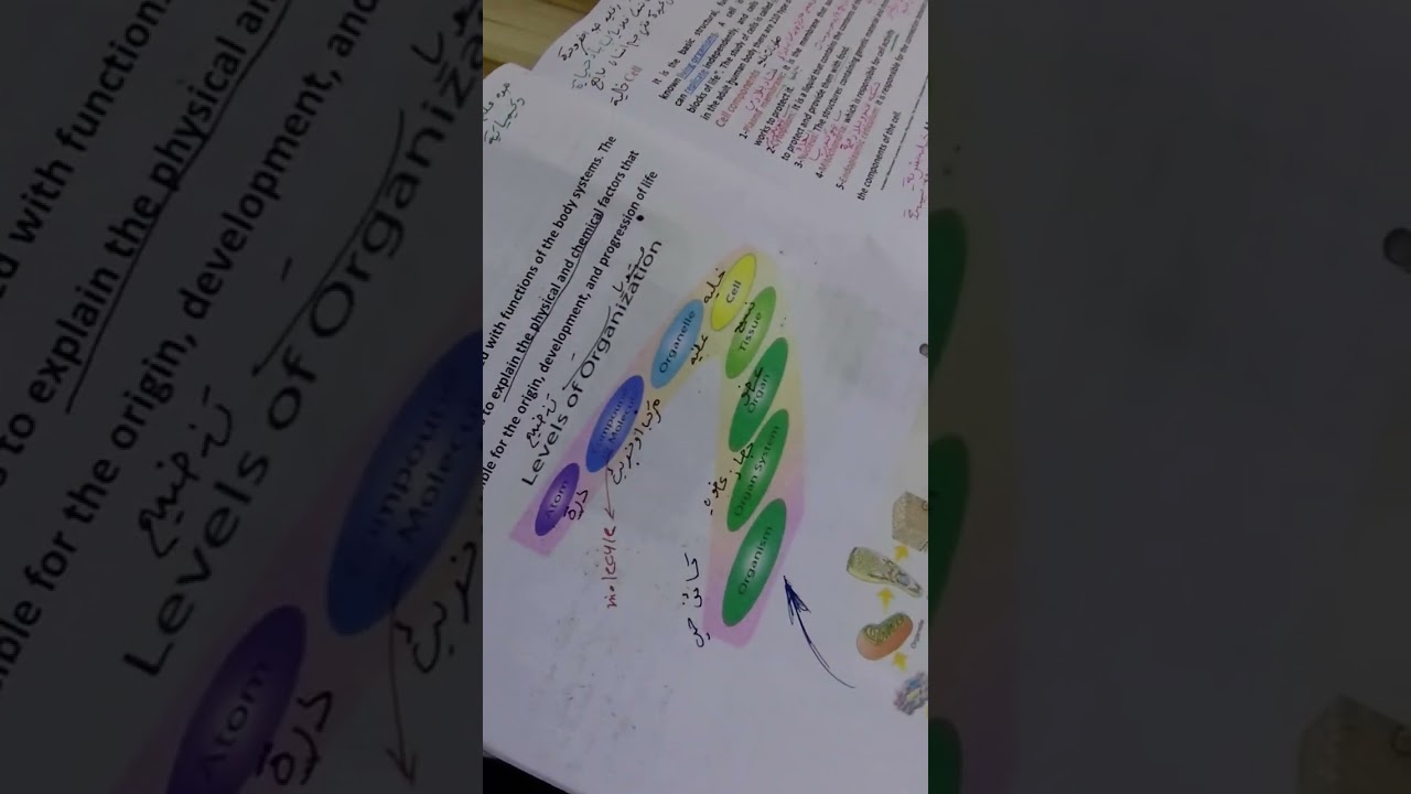 شرح المحاضره الاولى فسلجة نضري