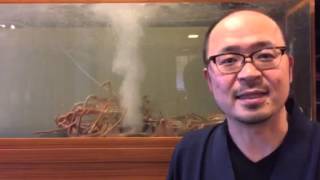 富山県魚津市 温泉旅館 蟹 おすすめ