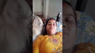 dog lovers /you tube / #reels