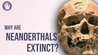 Why Are Neanderthals Extinct?