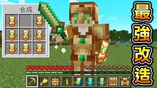 Minecraft 最強的圖騰裝備能製作各種『改造不死圖騰』物品的世界生存近乎無敵..