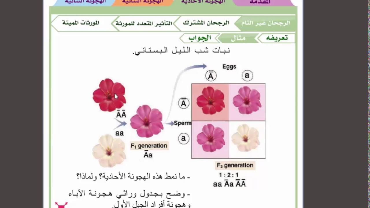 الرجحان غير التام
