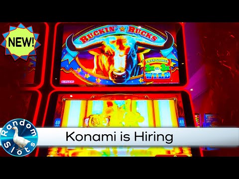 New⭐️Buckin' Bucks Slot Machine Bonus