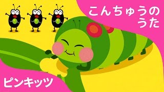 はらぺこもんすたー mqdefault.jpg