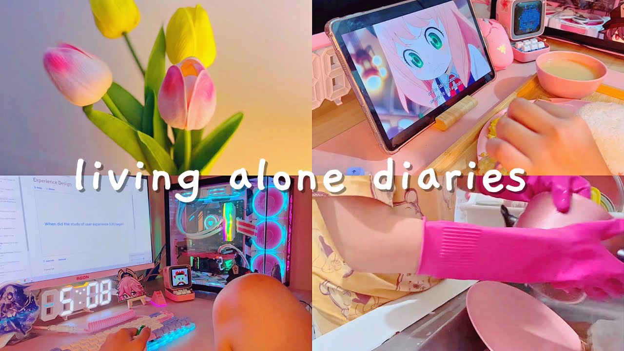 Living alone diaries ???? grocery haul, cooking, pink... - youtube