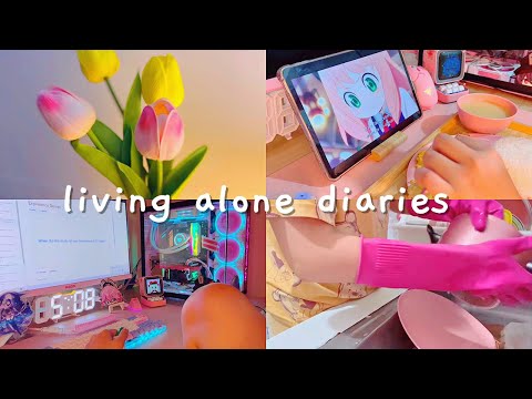 Video Living alone diaries ???? grocery haul, cooking, pink... - youtube