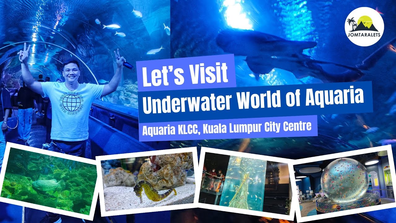 Aquaria KLCC Adventure! Dive Into The Depths of Malaysia's Underwater