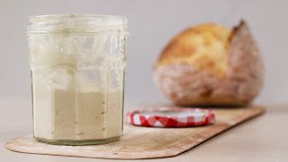 I didnt feed my starter for two weeks, then I tried to bake a loaf of sourdough