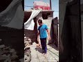 شماله حوش يمشي