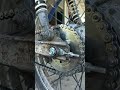 Tips for Installing and Removing a Chain Lock  #mechaniclife  #mechanic  #diy #otomotif  #reels