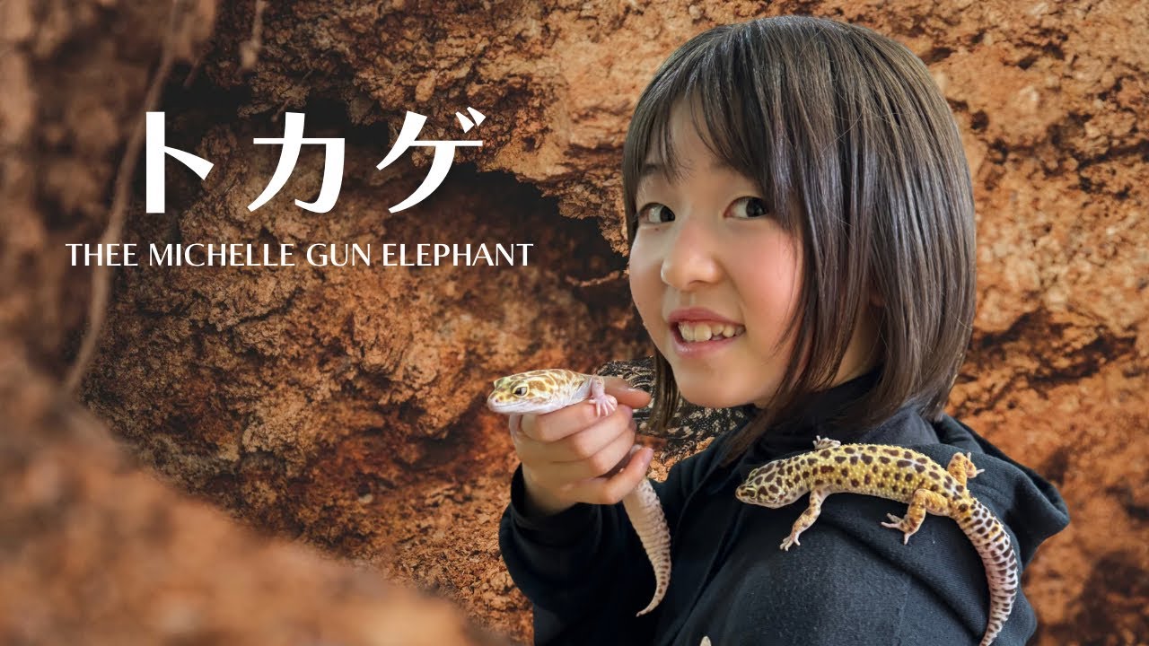 トカゲ / THEE MICHELLE GUN ELEPHANT - YouTube