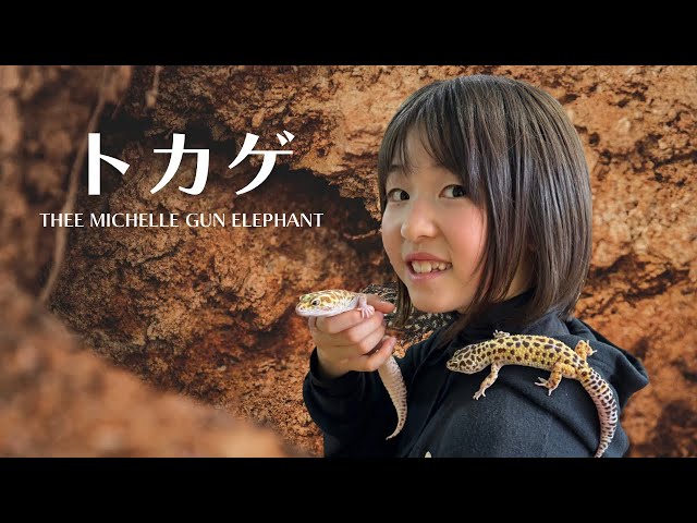 トカゲ / THEE MICHELLE GUN ELEPHANT - YouTube