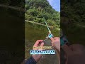 Lure fancy casting