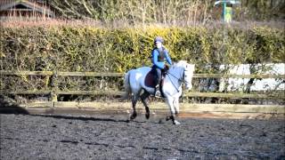Arthur - XC Schooling Leyland Court