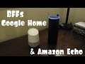 Google Home & Amazon Echo, Best Friends Forever!