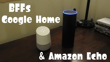 Google Home & Amazon Echo, Best Friends Forever!