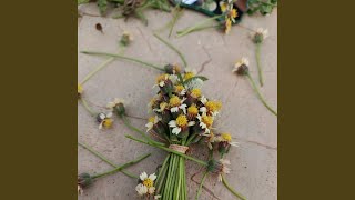 Download Lagu Dasi dan gincu MP3