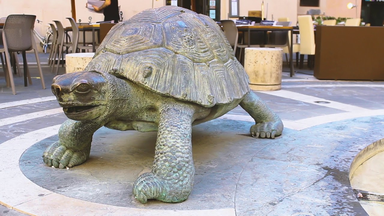 ¿Qué ver en Italia? Descubre Roma, Foligno medieval y boda italiana