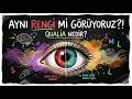 Renkler Gerçekten Var mı? | Qualia ve Algının Sırları