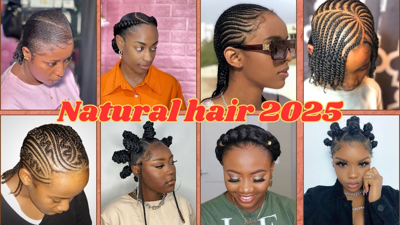 Stunning Natural Hair Braid Styles Without Extensions | Protective ...