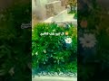 اللهم آمين النبي محمد استغفر الله اكسبلور الرزق الحلال ترند الرحمن اللهم آمين النبي محمد استغفر الله اكسبلور الرزق الحلال ترند الرحمن
