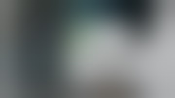 REUPLOAD - BITSLER - DICE GAME BITCOIN STRATEGY TEST #2 (2017)