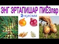 ЭНГ ЭРТПИШАР ПИЁЗ хақида маълумотлар №2