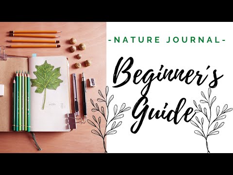 How To Start A Nature Journal - A Beginners Guide