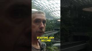 The Worlds Tallest Indoor Waterfall Comes to Life changiairportsingapore singapore