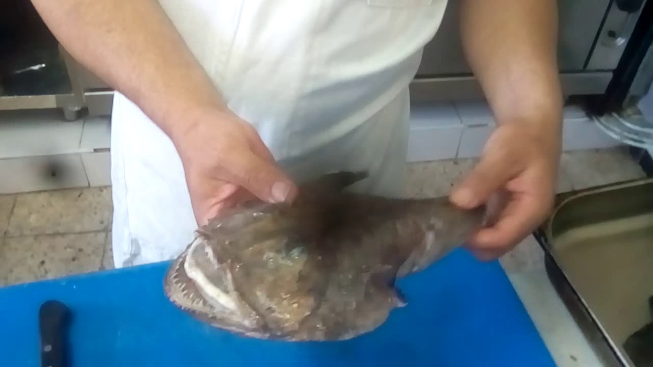 Chef Younes Chegrane Comment Nettoyer Poissons La Lotte طريقةتنضيف سمك لوط Youtube Chef Younes Chegrane Comment Nettoyer Poissons La Lotte طريقةتنضيف سمك لوط Youtube