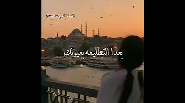 عبير نعمة وينك بدون موسيقى احساس رائع حالات واتس اب 