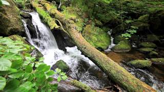 Secret Waterfall On Dartmoor National Park, Devon, Uk