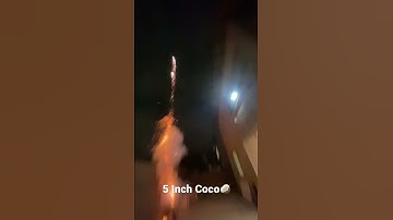 5 Inch Display Shell Firework 🥥