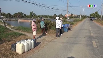 Công bố tình huống thiên tai xâm nhập mặn I LONG AN TV