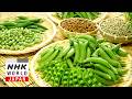 Peas - Trails to Oishii Tokyo