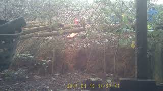 PICT0002